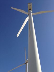 Trip to Huge Forest of Giant Wind Turbines-11