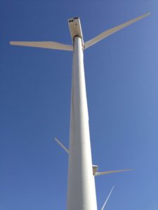 Trip to Huge Forest of Giant Wind Turbines-14